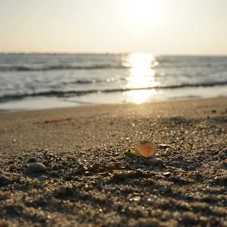Austernperle 258 Hébergement de vacances